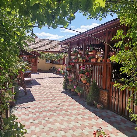 Casa Dana Otel Haţeg Dış mekan fotoğraf