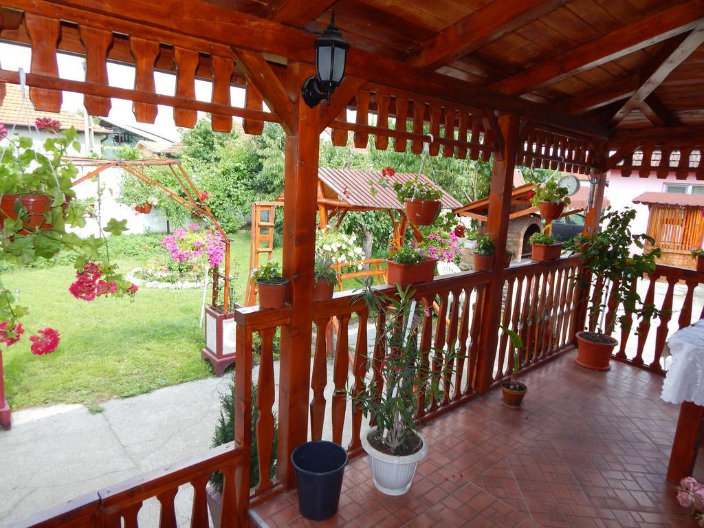 Casa Dana Otel Haţeg Dış mekan fotoğraf